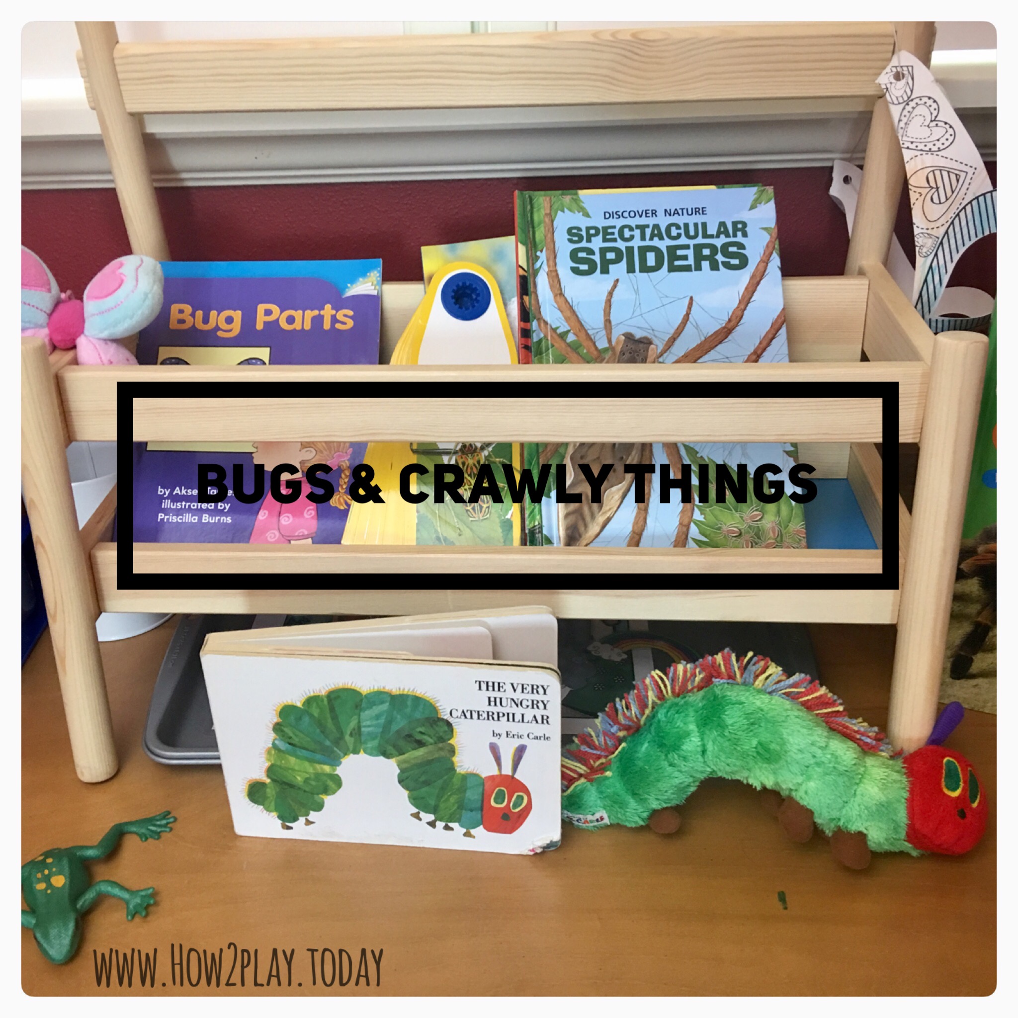 Science Center is all ready filled with books about bugs for our Bugs & Crawly Things curriculum.