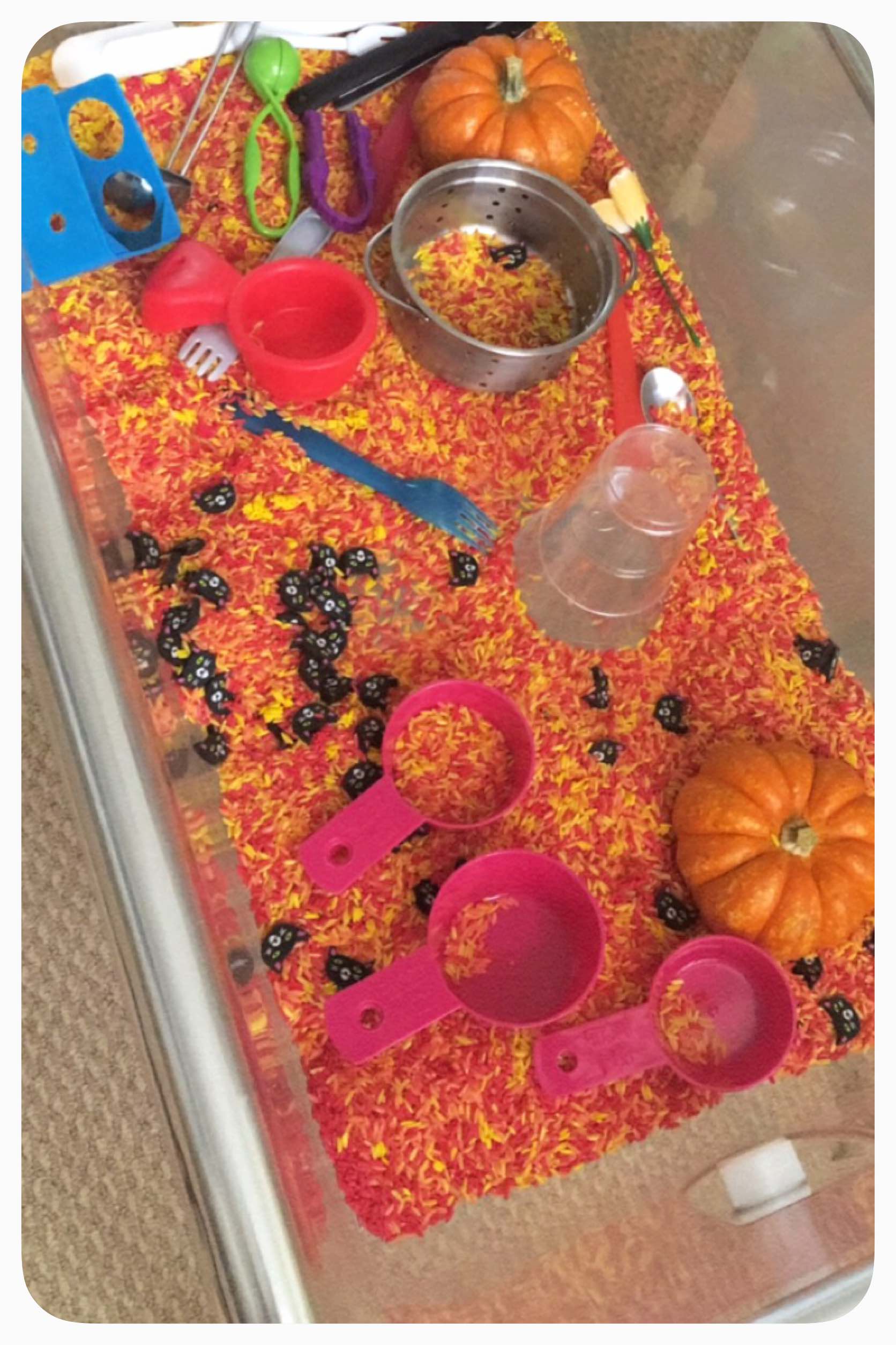 Fall Sensory Bin - Amazing how much play kids can get out of such simple sensory materials. Acrylic paints to dye the rice .