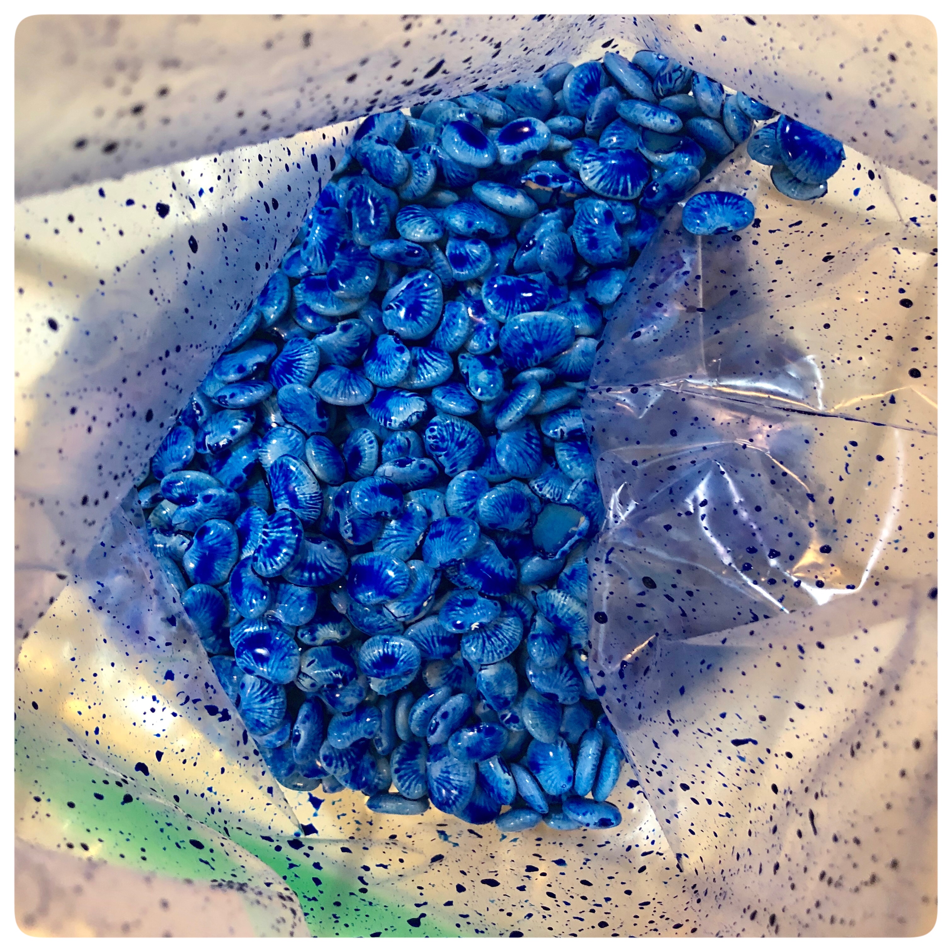 Looking for a fun and simple activity for your kiddos this summer? Create an ocean inspired sensory bin 🐚 Did you know you can dye food you have right now in your kitchen? . We used blue Color Splash acrylic paint to dye white baby lima beans {and how adorable are they up close?}