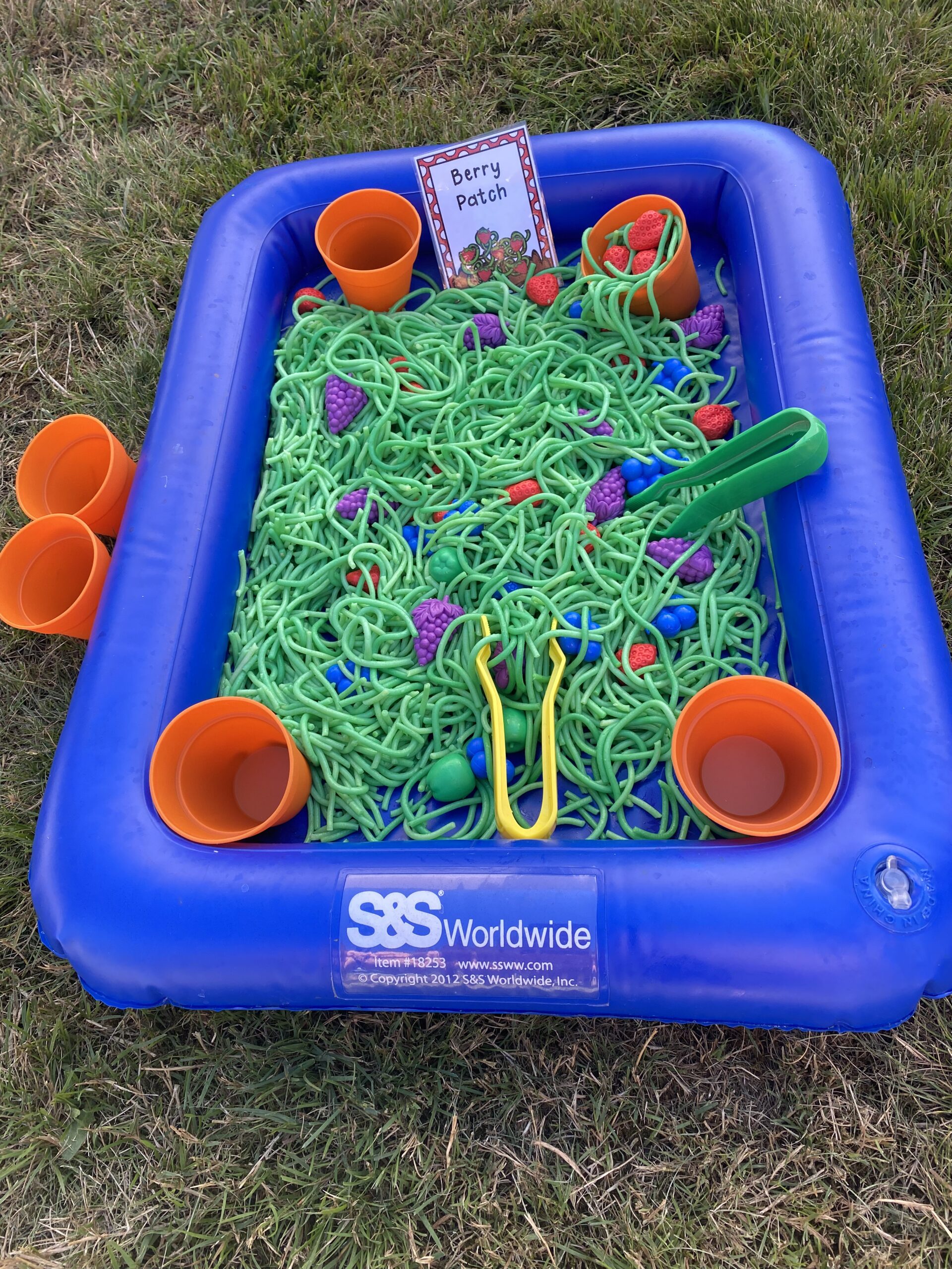 Here is a fun way to create a Berry Patch sensory bin, perfect for a Farm theme play.