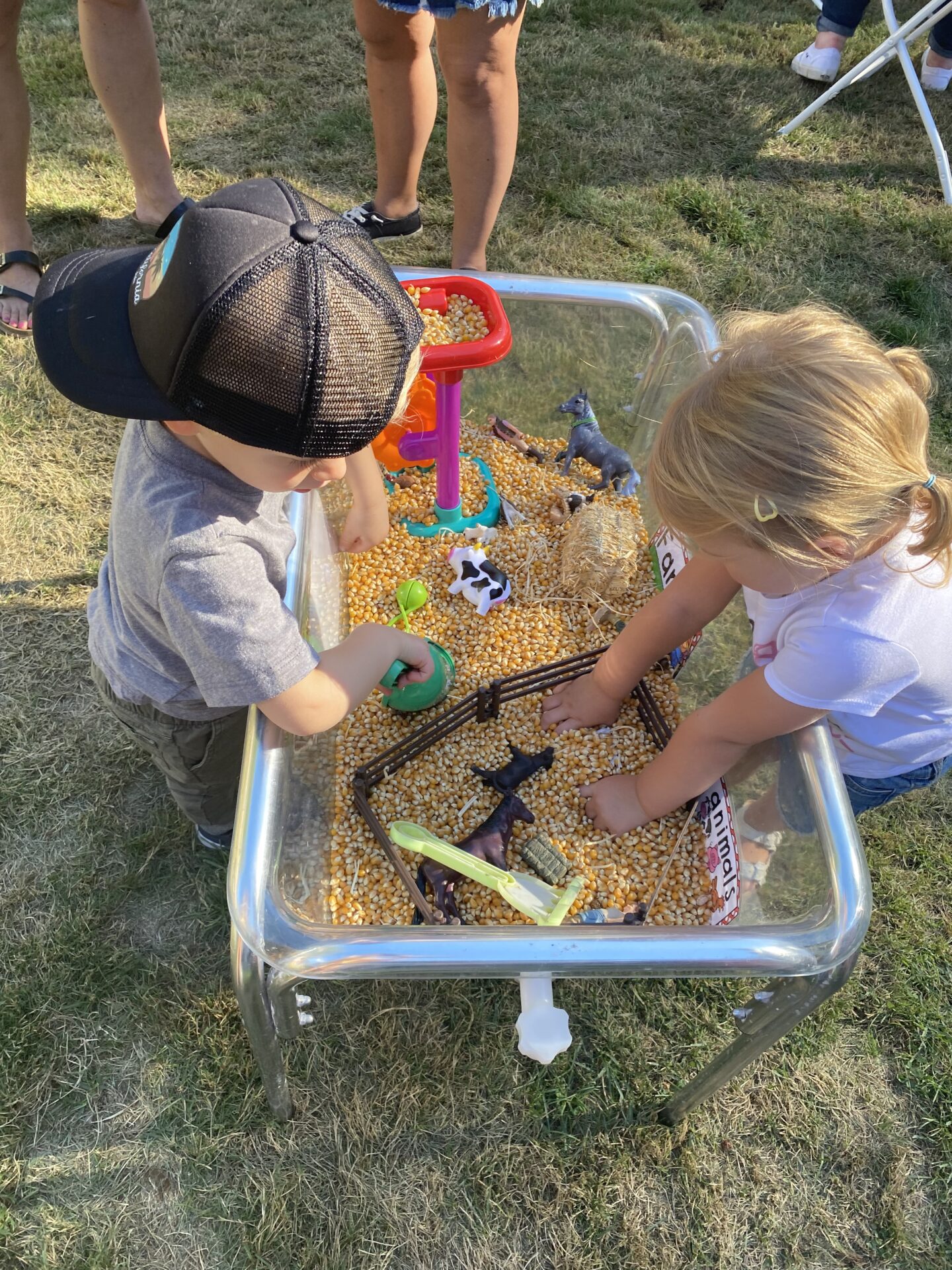 Come create a simple and fun Farm Animal sensory bin with us using plastic farm animals and corn kernels. 