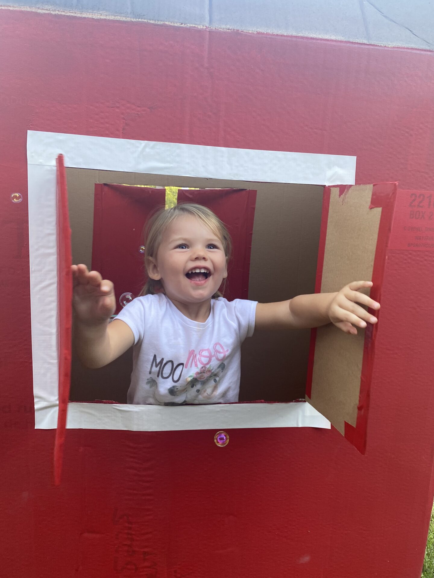 Chances are you have some cardboard boxes laying around your garage.  Let’s turn those into something fun for your child to play with.  This goes great with a Farm themed Birthday party or for your preschool Farm theme